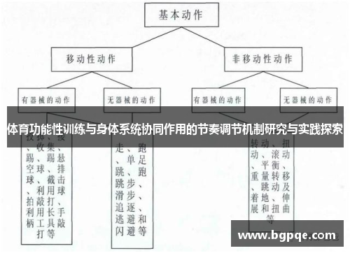 体育功能性训练与身体系统协同作用的节奏调节机制研究与实践探索
